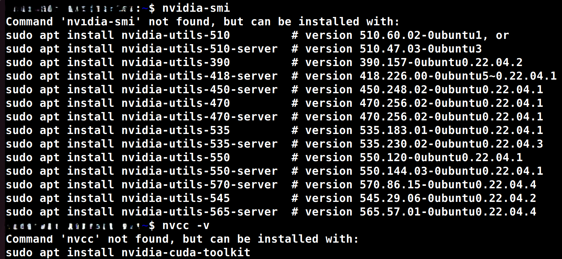 No good output for nvidia-smi and nvcc -v